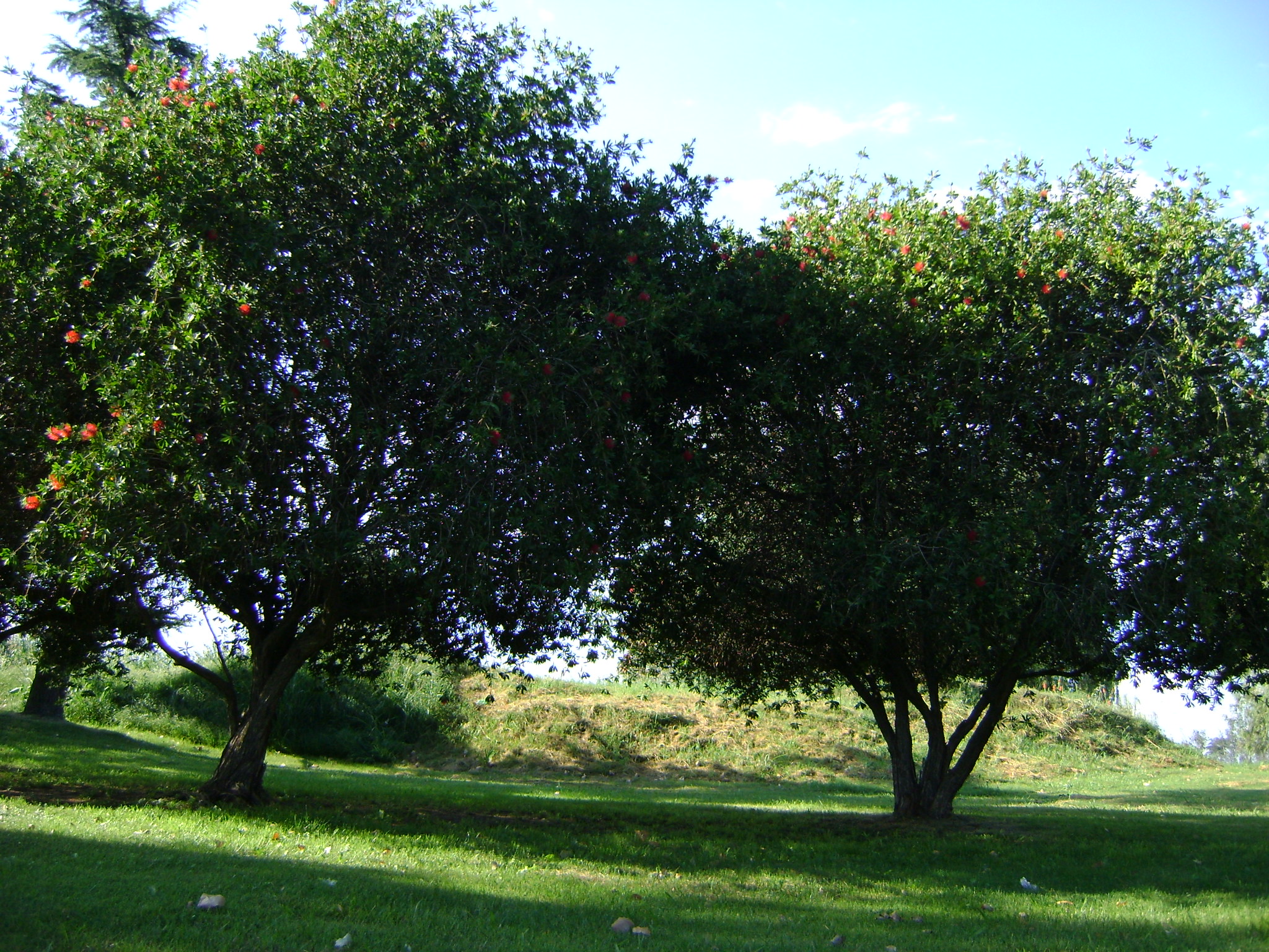fotos/2011 - Los Reartes/DSC03594.JPG